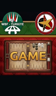 100 Chips Freeroll